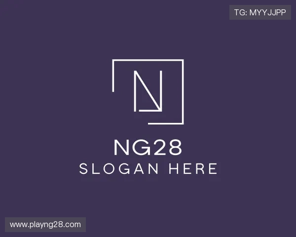 关于ng28公司